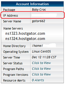 Shared Hosting Server IP Address