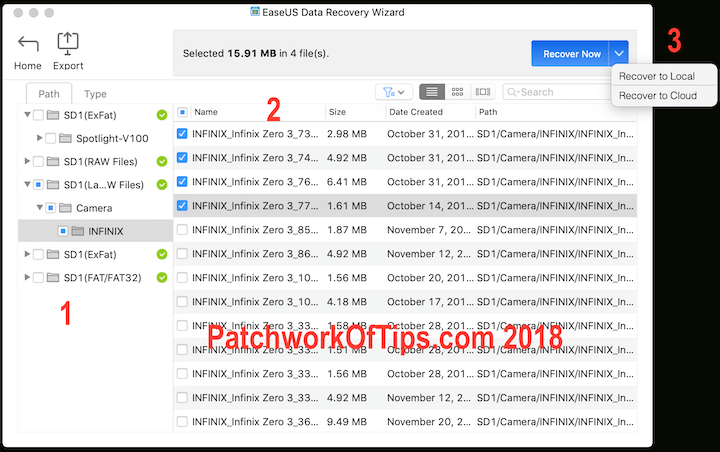 EaseUS Data Recovery Selecting Files For Recovery