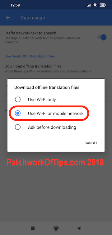 Google Translate Offline Translation Download Settings 3